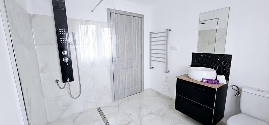 Penthouse de inchiriat-Marasti(Cinema Marasti) - 12