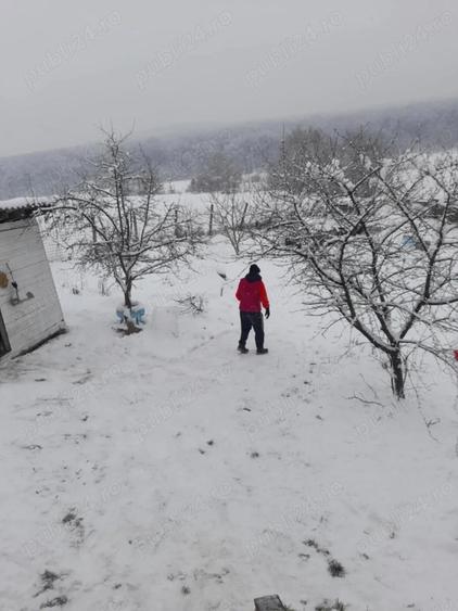 vand casa in Sangeorgiu de Mure? - 4