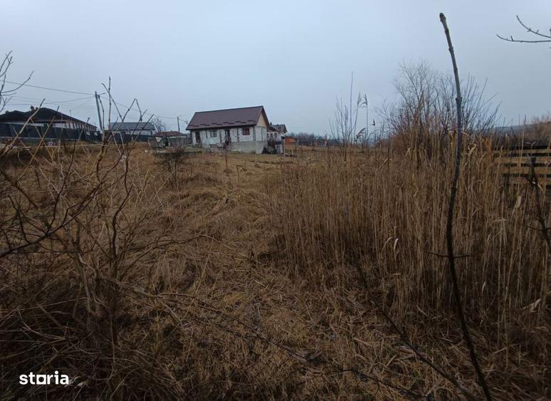 Teren intravilan Miroslava , 833 metri Cod:150282 - 7