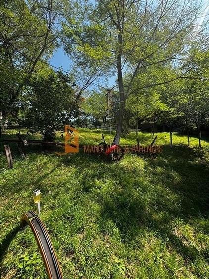 Ansamblu cabanute zona Cozieni - 31