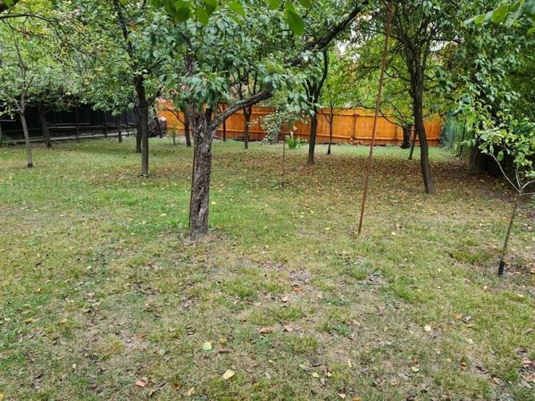 Proprietate individuala-3 apartamente,spatiu comercial,garaje,gradina,curte - 2