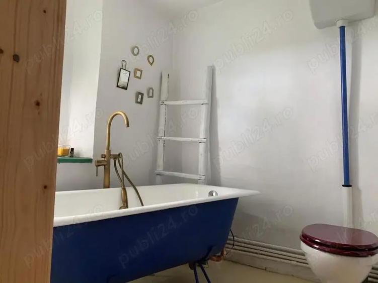 Investi?ie in natura > 2 case restaurate cu poten?ial de inchiriere si teren de 20.000 mp - 7