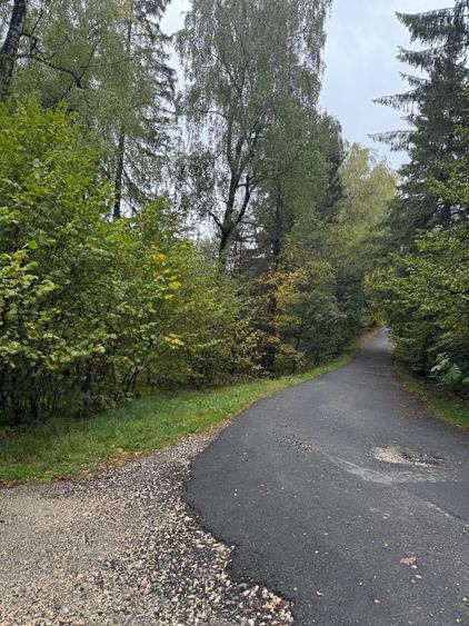 Teren Intravilan, 4629 mp, Certificat Urbanism, potential de crestere valorica, - 4