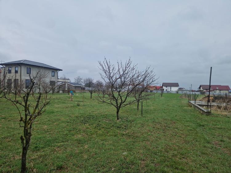 Teren de vanzare Salcea - 6