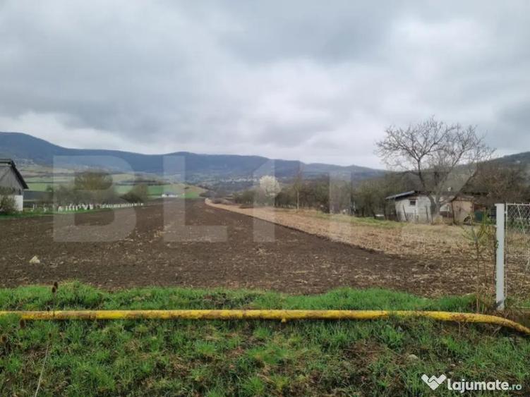 Teren intravilan, 1,6 hectare, acces drum, utilita?i compl - 2