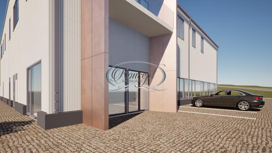 Teren industrial cu autorizatie hala, Valea Chintaului - 3