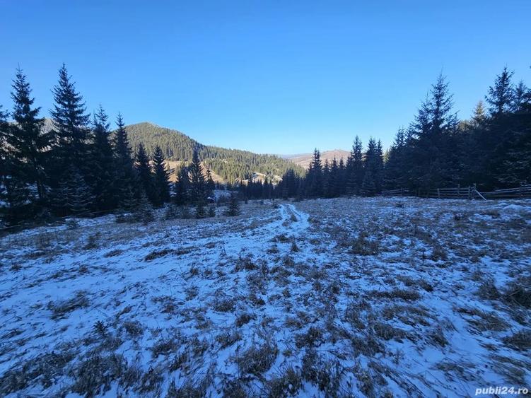 Teren extravilan de vanzare inconjurat de padure in Bucovina zona Breaza - 4