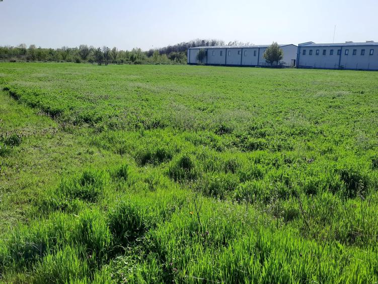 FARA COMISIOANE in Joita aproape de drumul asfaltat teren de 4600mp merita vazut - 4