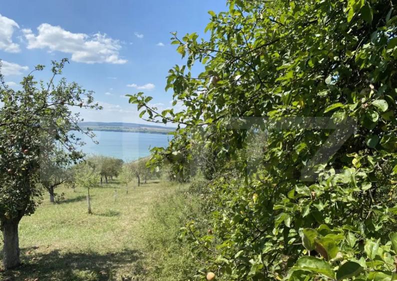 Teren extravilan in apropierea lacului Varsolt in suparfata - 2