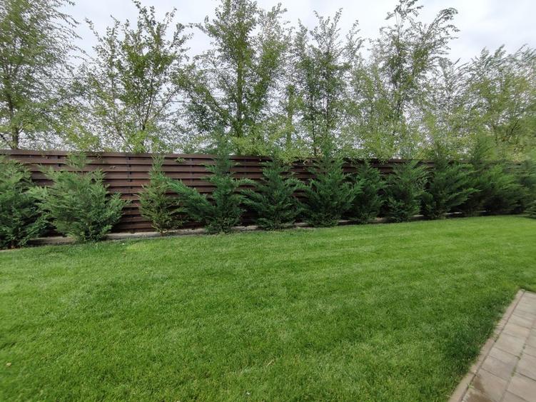 CASA  DEOSEBITA LA  SACALAZ IN SUPRAFATA DE 153 MP - 34