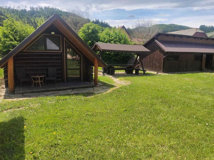 Pensiune si casa cu teren in Bucovina - 2