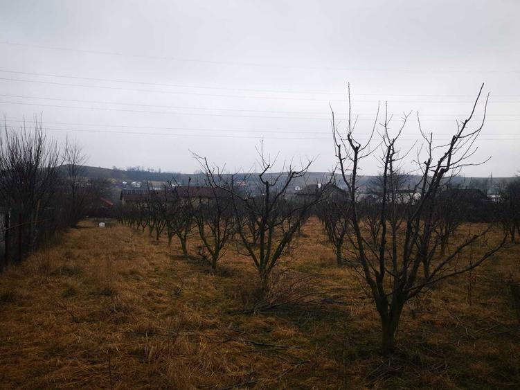 Teren intravilan Falticeni Str. Closca (FN), langa Kaufland - 2