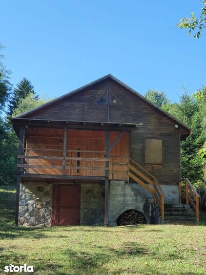 De vanzare cabana la munte, formata din 3 camere,teren de 800mp 55000e - 1