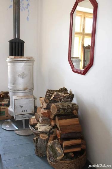 Se vinde casa ?ura lui Hientz din Alma Vii - 1