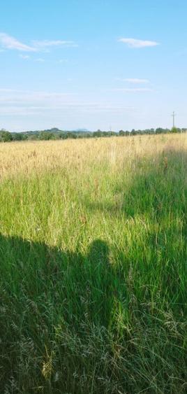 Catalina, 39 ari teren - 3