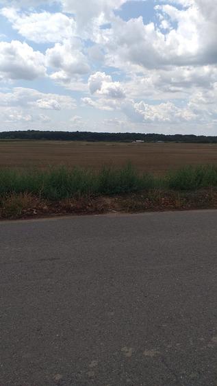 2 loturi Ciolpani-Izvorani intravilan total 5000mp - 4