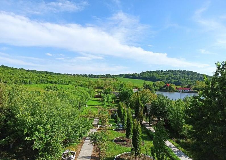 Casa ( P+E ) Zona Mitocasi-Mitocul Dragomirnei - 5