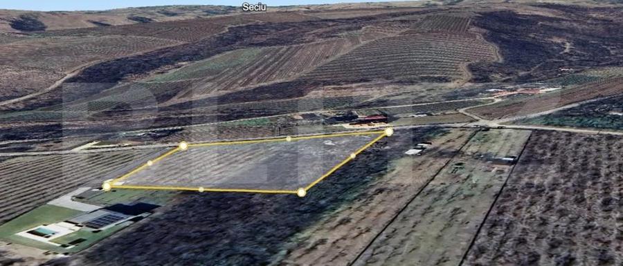 Teren Vanzare Plopu(GALMEIA)Oportunitate Investitie-DEZVOLTATOR IMOBILIAR - 1