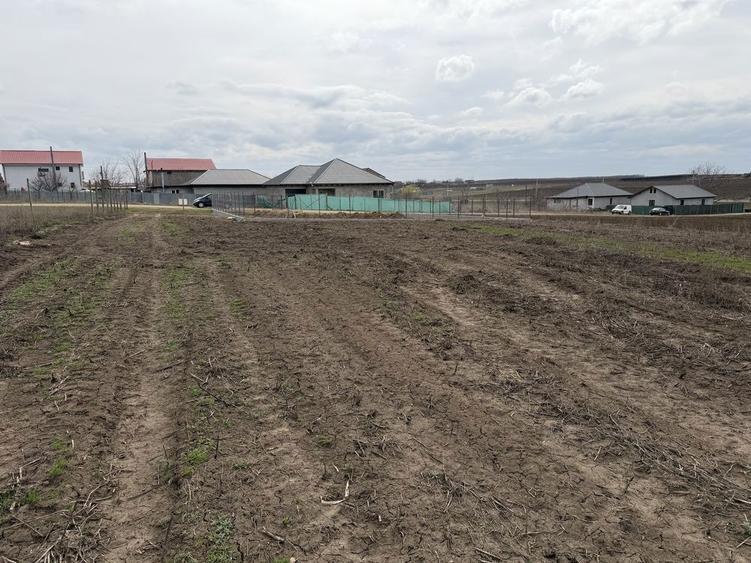 Vand vatra de casa - 3