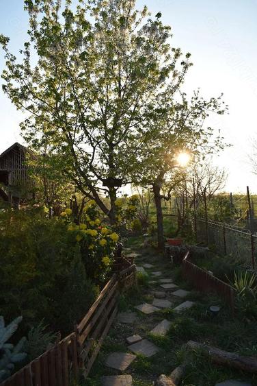 Teren intravilan 1000mp + casuta mica structura metalica + casa demolabila - 2