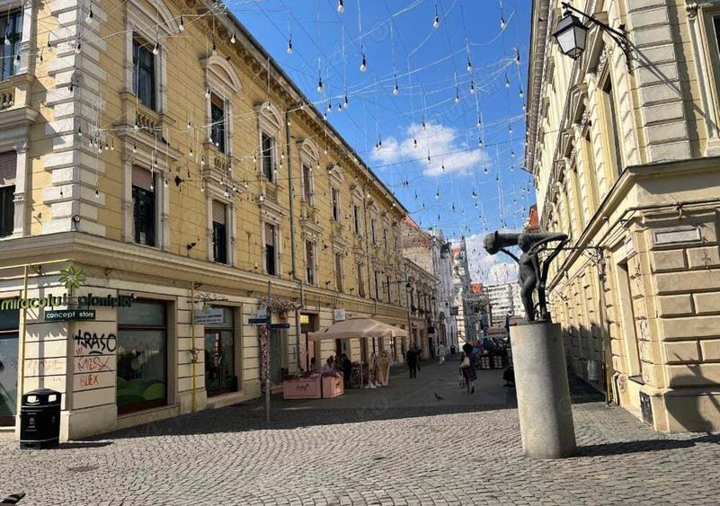 apartament cu 2 camere de vanzare in zona Piata Unirii - 4