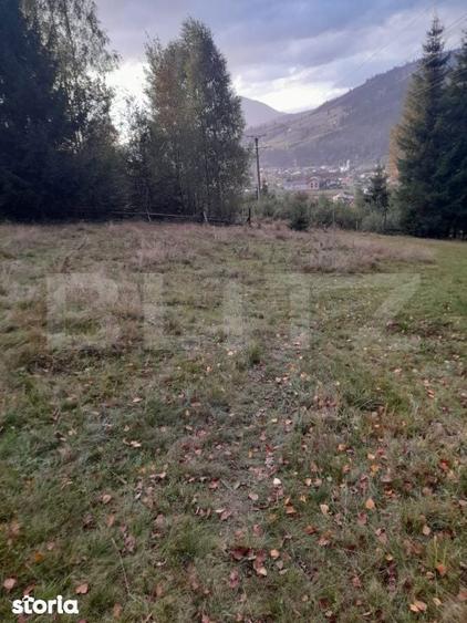 Teren intravilan de vanzare, 2280 mp, Vatra Dornei - 5
