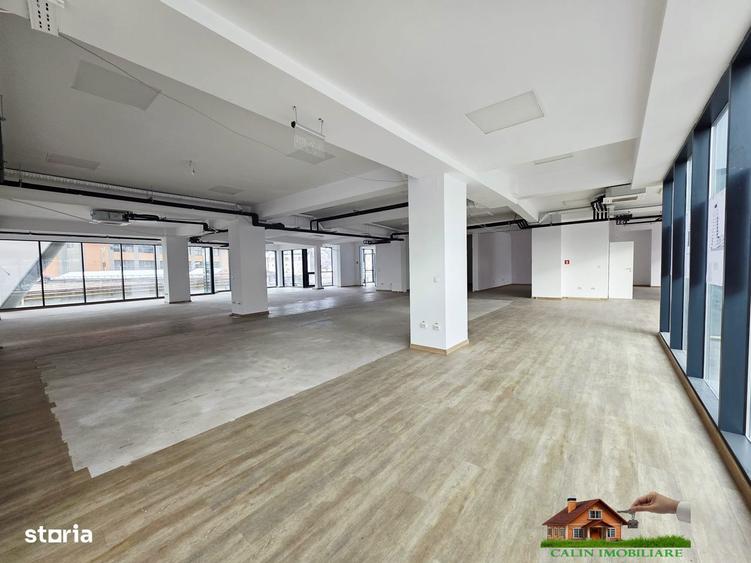 SPA?IU COMERCIAL 560 mp TATARA?I Showroom Magazin Chinezesc Gradinita - 8