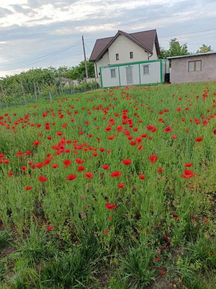 Proprietate de vanzare langa Bucuresti - 7