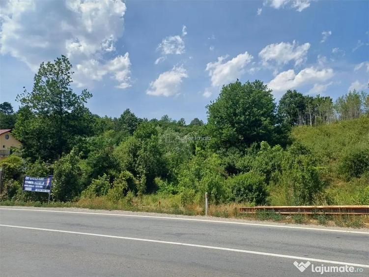 Resita, Terenuri Intravilane 2000 Mp., 20 Euro/Mp., Calea Ca - 7