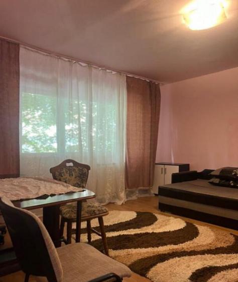 Apartament cu o camera Sagului - 7