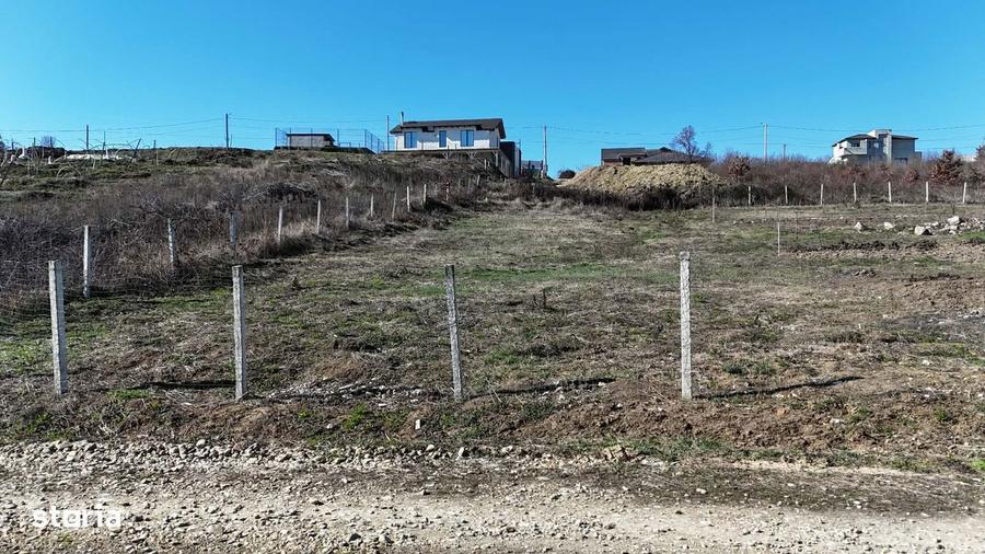 Teren intravilan 900 mp Saldabagiu - zona Hanul Pescarilor - 4