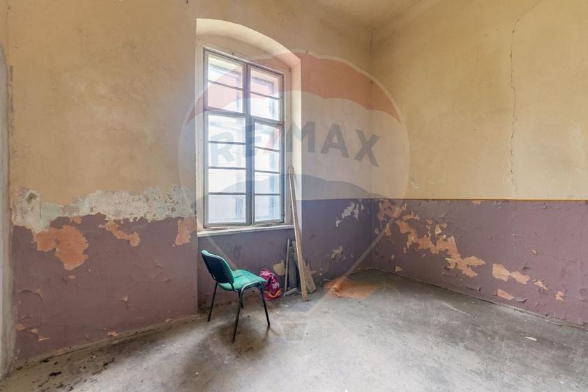 Conac aristocratic secolul XIX , domeniu  2,5 hectare — Păuliș, Arad - 13