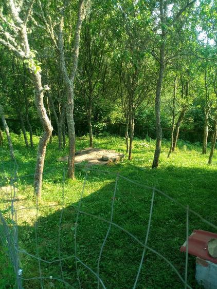 Casa de vanzare, - 2