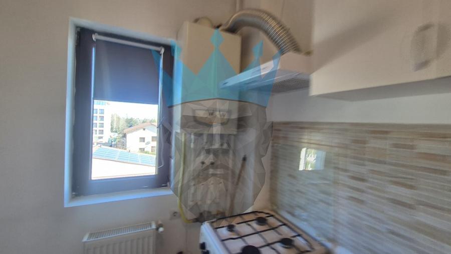 Apartament 2 Camere Sisesti Bucuresti - 12