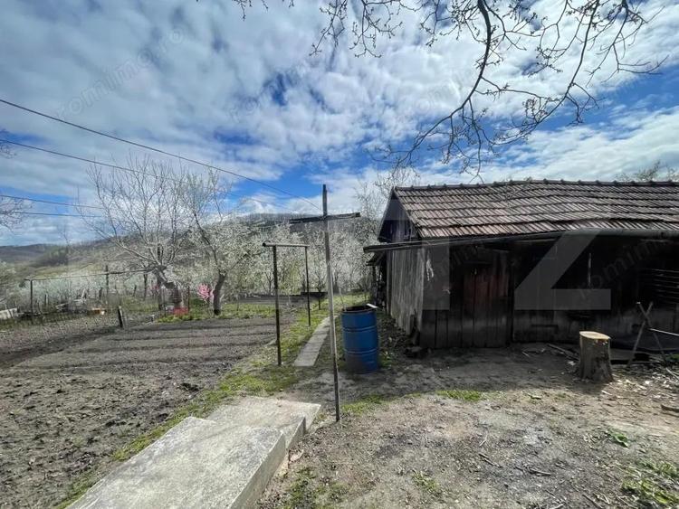 Locuinta in Ticu-Colonie (Casa de vacanta la un pret corect!) - 4
