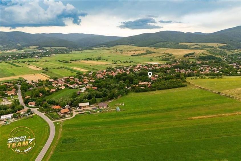 FILM&3D! Doua case cu:piscina,foisor,arbori decorativi,1.700mp teren,Lutoasa,Cov - 15