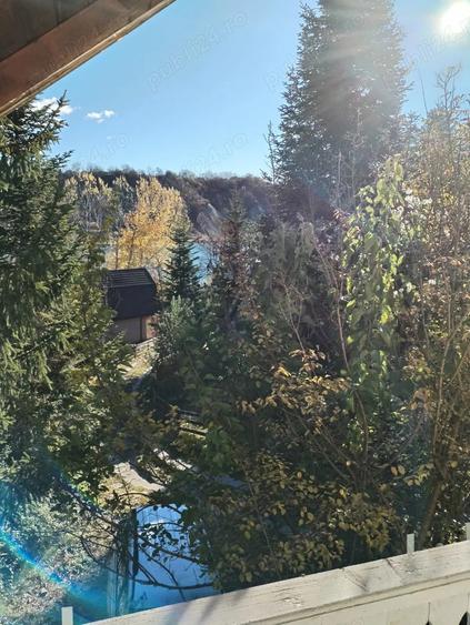 De Vanzare Casa Campina - 5