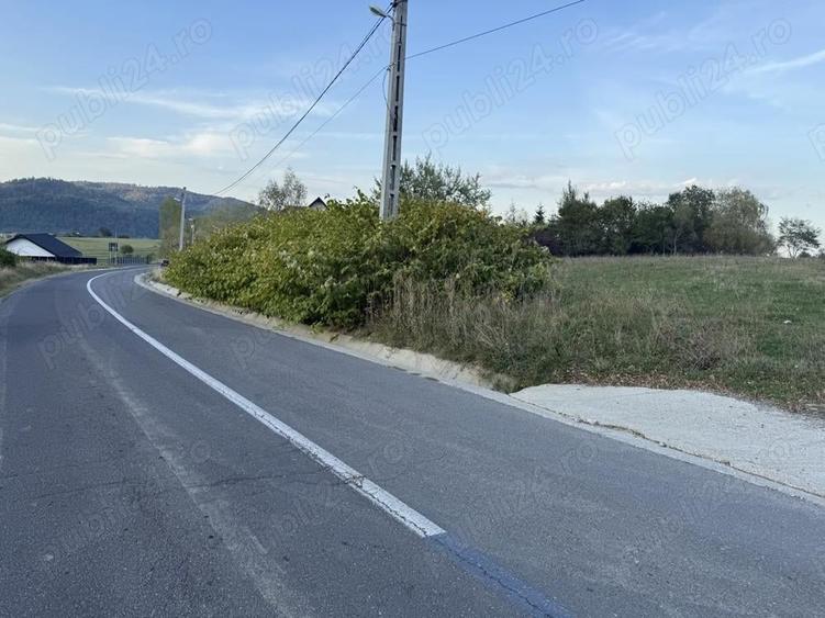 Teren intravilan 500 sau 1000 mp Bran-Tohanita la dum asfaltat - 2