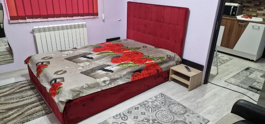 Brotăcei(tic-tac)-Centrală gaz,termen lung - 4