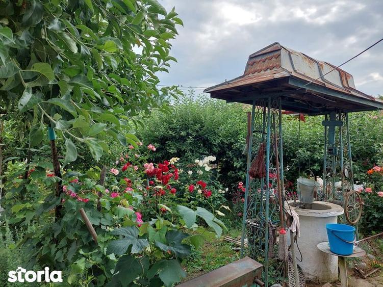 Vand casa de locuit si teren 4000 mp - 3