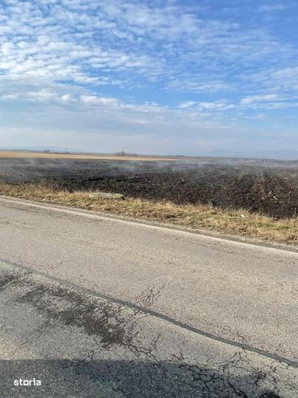 Vand teren agricol Halchiu - 1