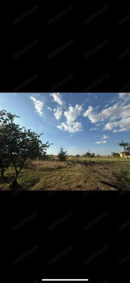 De vanzare casa in Cruceni- 728 - 2