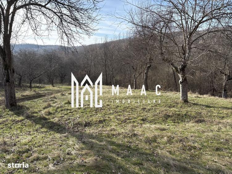 Spațiu comercial, în Sud