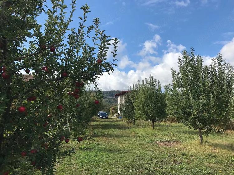 Teren de 1200 mp, în Central
