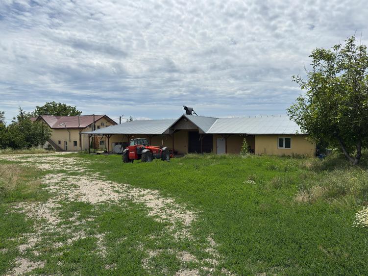 Proprietate specială, de 4,850 mp, în Vitănești