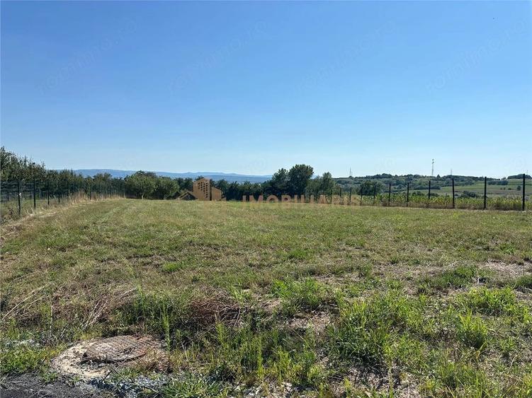 Teren de 1600 mp, în Groși