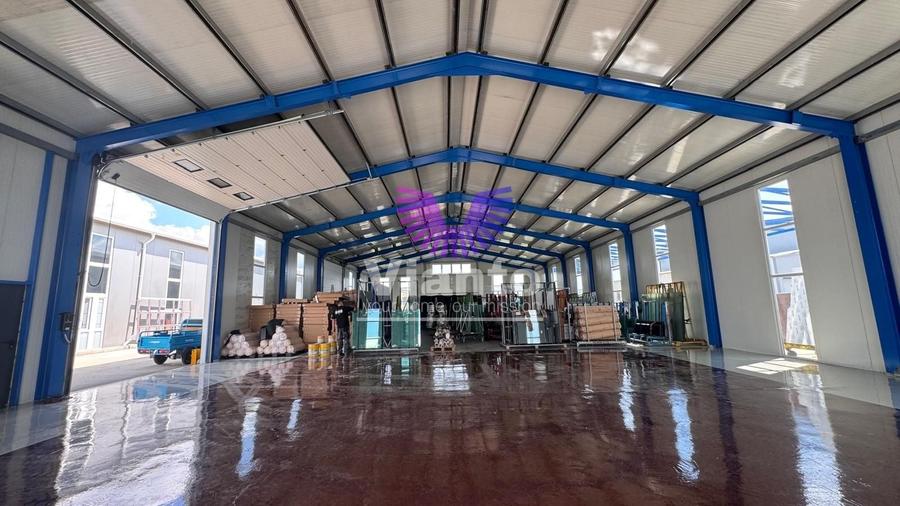 Spațiu industrial, de 600 mp, în Șura Mare