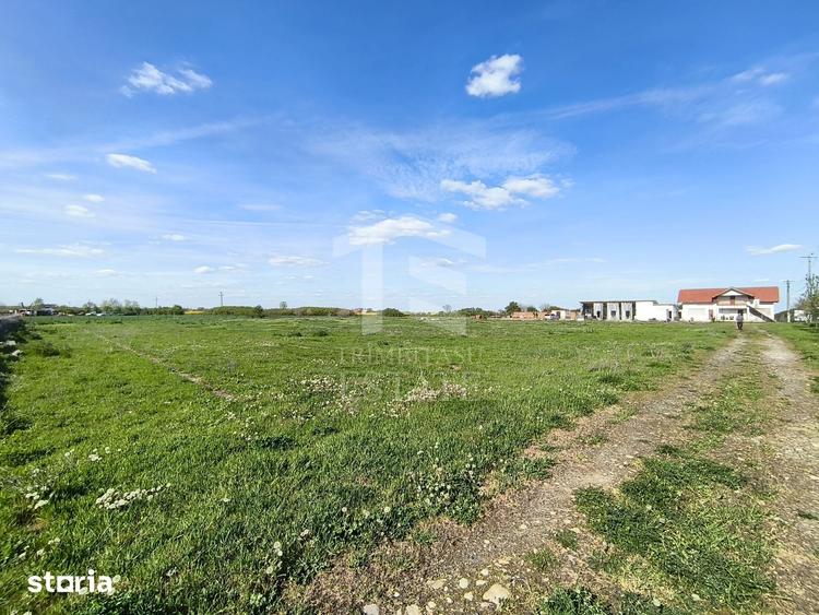 Casă cu 4 camere cu Teren 14340 Mp în Jebel
