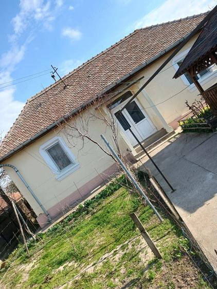 Casă cu Teren 462 Mp în Cetate