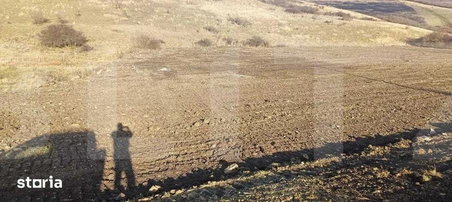 Teren de 12656 mp, în Borșa